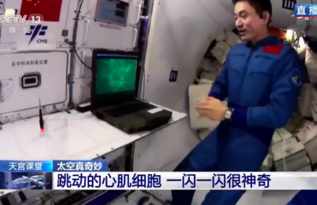 科普|从“心”出发，揭示太空人类生命现象变化本质