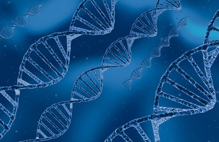 科技名词|抗体文库 antibody library