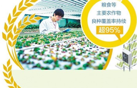 选育良种筑牢粮食安全