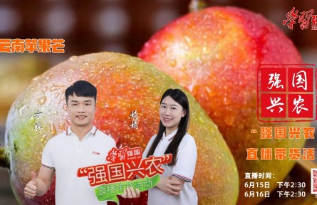 盛夏炎炎，鲜果相伴，“强国兴农”直播带货活动继续与您相约