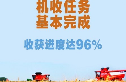 端牢饭碗！全国“三夏”小麦机收任务基本完成