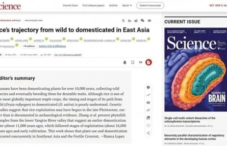 《科学》杂志发表上山文化重要研究成果 进一步确认我国是世界水稻起源地