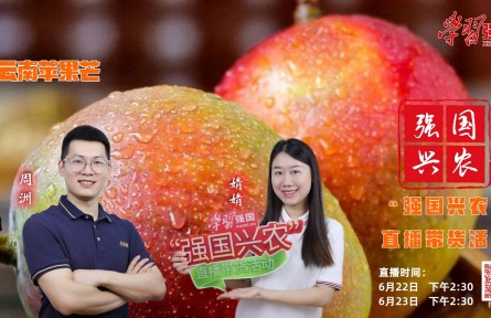半夏时光，芒果飘香，明天下午2:30，“强国兴农”直播带货活动邀您收看