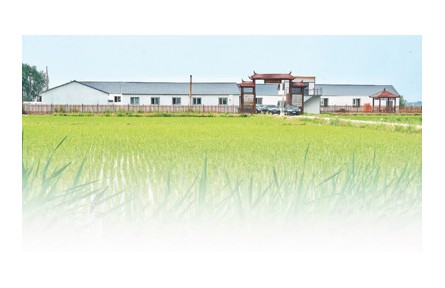 在吉林，105家科技小院正为乡村振兴助力——走进黑土地深处