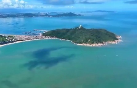 【新思想引领新征程】保护海洋生态 建设美丽中国