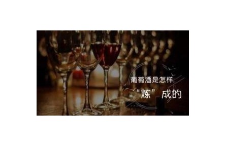 葡萄酒是怎样“炼”成的