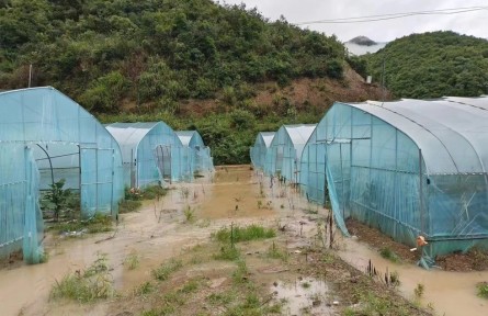 湖北黄石：防汛应战 严阵以待