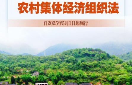 我国有了农村集体经济组织法