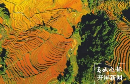 红河是滇南独特的生物物种资源基因库