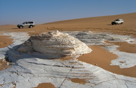 科技名词|硅藻土 diatomite