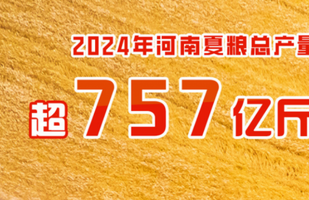 2024年河南夏粮总产量超757亿斤 实现增产丰收