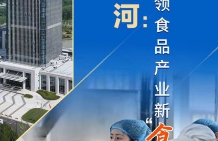 河南漯河：引领食品产业新“食”尚