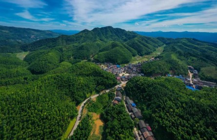 福建建瓯：从“全竹利用”迈向“全竹应用”