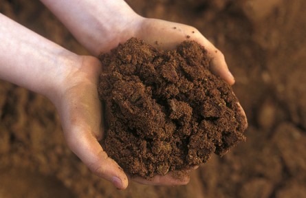 科技名词|暗棕壤 dark brown forest soil，dark brown soil