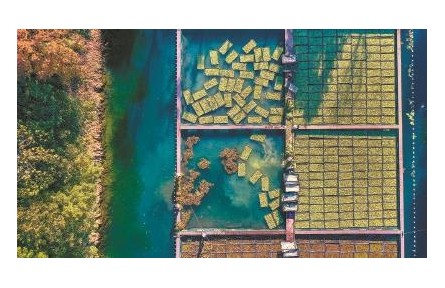 千岛湖味道