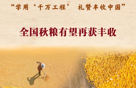 第七个中国农民丰收节来了！全国秋粮有望再获丰收
