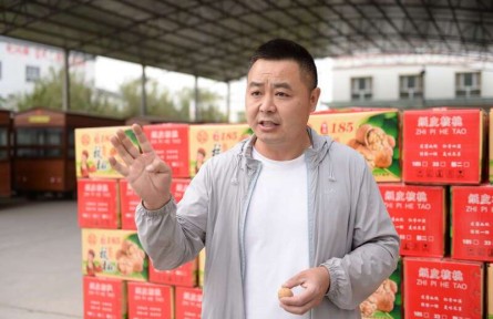 把小核桃做成产业链，创业青年在新疆农村找到“第二故乡”