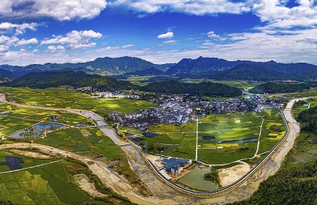 福建南平：“福建粮仓”新“丰”景