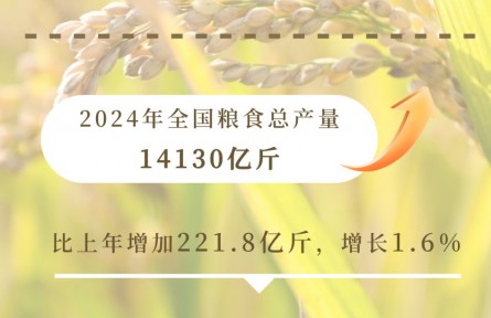 九个维度看2024农业领域交出亮眼成绩单