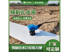 预制孔水带 厂家生产高标准农田玉米大豆单产提升工程项目软带