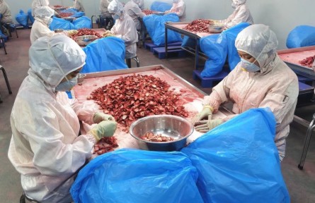 云南丽江多措并举 推动知识产权成果转化