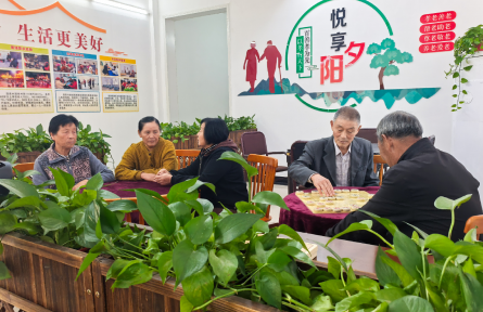 养老服务改革 reforms in eldercare services