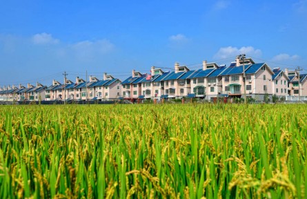 浙江嘉兴：农民“钱袋子”连续21年领跑全省