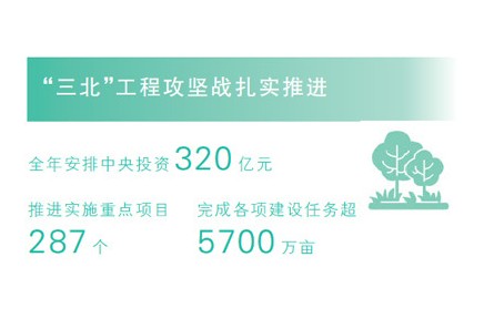 2024年“三北”工程攻坚战 完成各项建设任务超5700万亩
