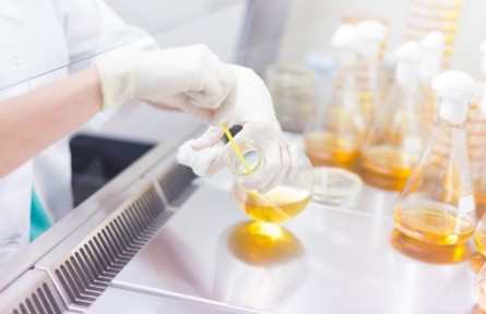 在生命科学研究中，人工智能发挥哪些作用？