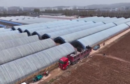 山西省各地大力发展特色种植业 点燃乡村振兴“新引擎”