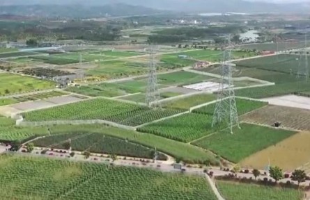 【新思想引领新征程】科技加力赋能 绘就农业现代化新图景