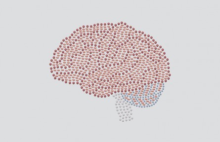 科技名词|血脑屏障 blood-brain barrier