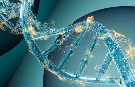 科技名词|移码突变 frameshift mutation