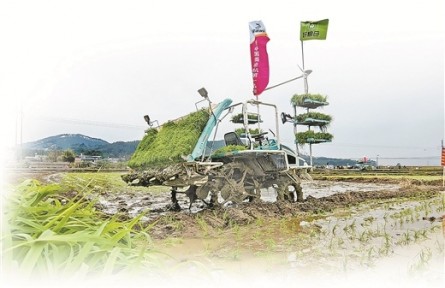 广西：水利攻坚泽沃野