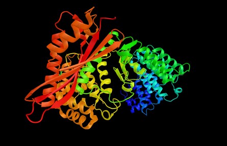 科技名词|胶原酶 collagenase