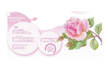 我国种苗花卉企业年产值超5200亿元