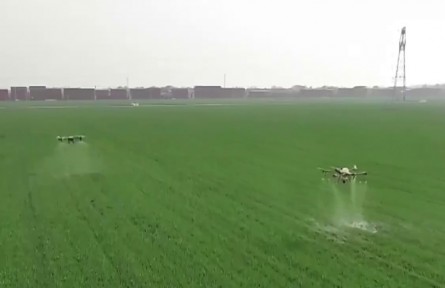 河北邢台：农业AI大模型为春耕注入数智新动能