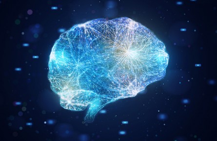 科技名词|神经激素 neurohormone