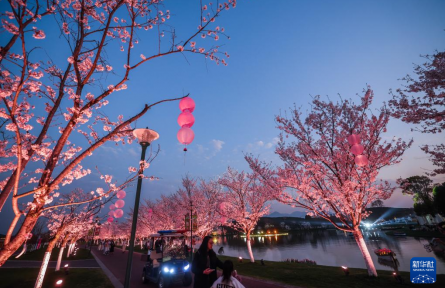 美丽乡村开启“春日花朝节”