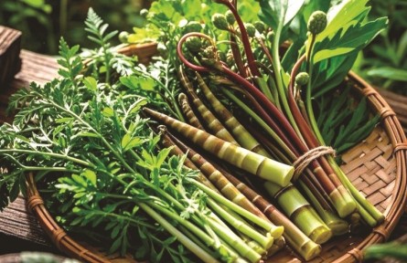 野菜尝鲜季，如何避免舌尖风险