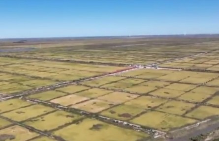 吉林：守住耕地红线 端牢中国饭碗