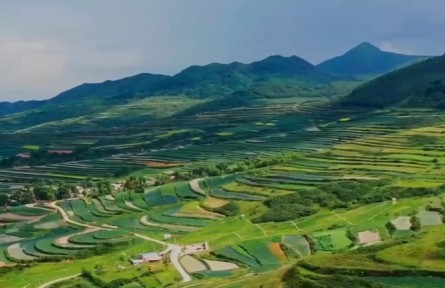 甘肃：立足特色兴业强村 助力乡村全面振兴