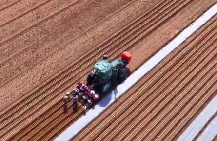 陕西榆林：强龙头延链条 加快现代农业全产业链建设