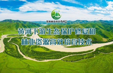 黄河下游生态保护修复和林业资源高效栽培技术（系列讲座视频）