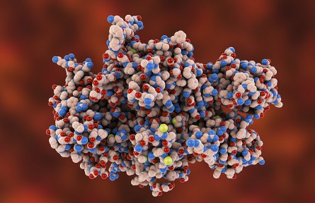 科技名詞|凝血因子 blood coagulation factor