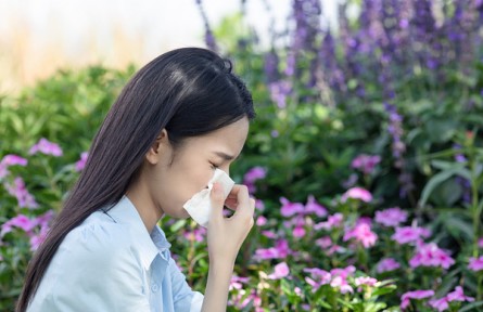 辟谣|对花粉过敏的人不能赏花？
