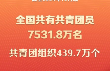 截至2024年底全国共有共青团员7531.8万名