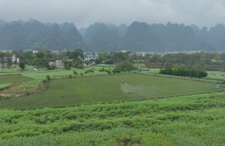 贵州：田间地头耕种忙 科技赋能保粮安