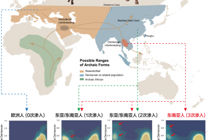 东南亚人群基因密码破译 填补全球人类基因组研究“最后一块拼图”