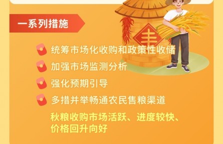 全国秋粮收购完美收官 新一季夏粮收购即将开启